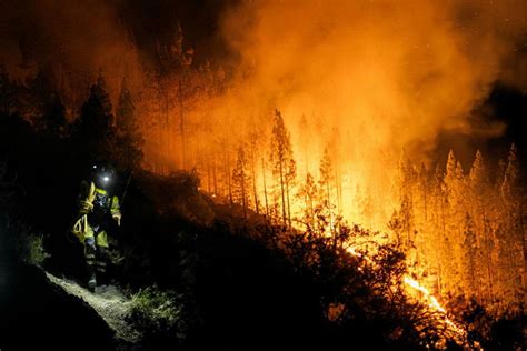 m4ufree incendies|Incendies .
